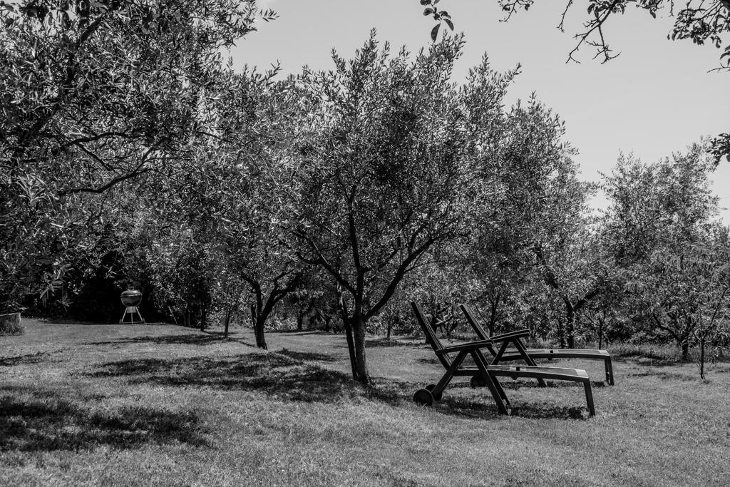 Terra Del Carso Vila San Pelagio Exterior foto